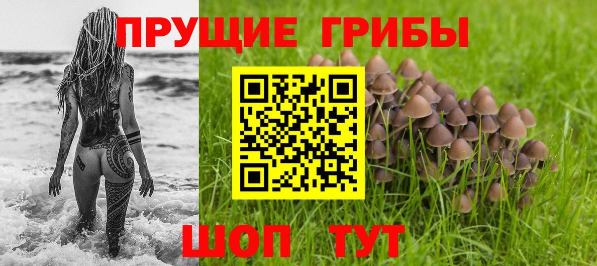 Псилоцибиновые грибы Psilocybe  Галлюциногенные грибы MAGIC MUSHROOMS  Тамбов  Вход с VPN 
